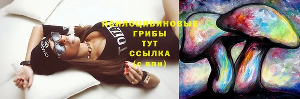 винт Армянск