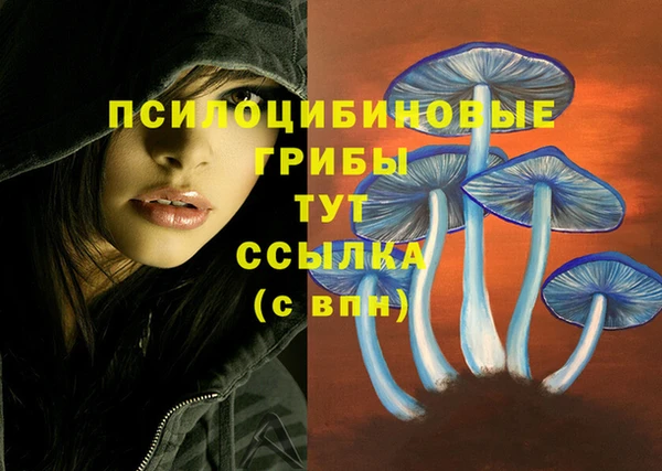 прущий лед Арсеньев