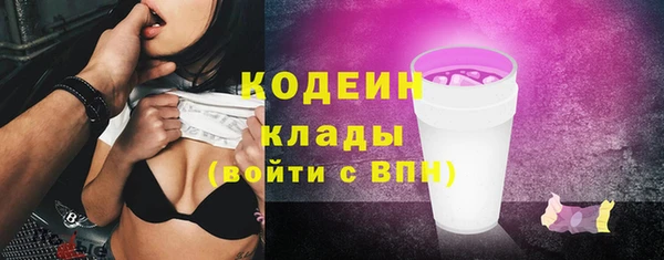прущий лед Арсеньев