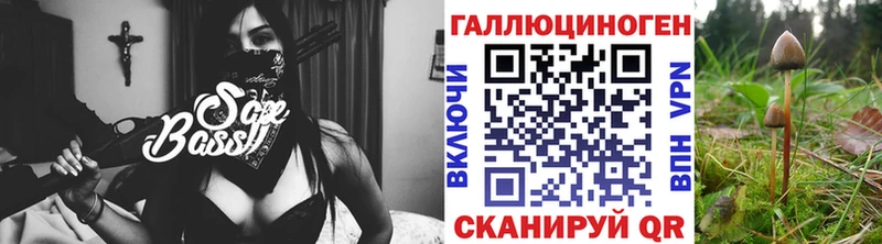 наркошоп  Великие Луки  Псилоцибиновые грибы Cubensis 